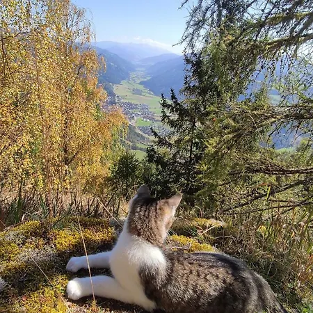 Sonnleiten Apartament